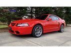 Thumbnail Photo 1 for 2003 Ford Mustang Cobra Coupe